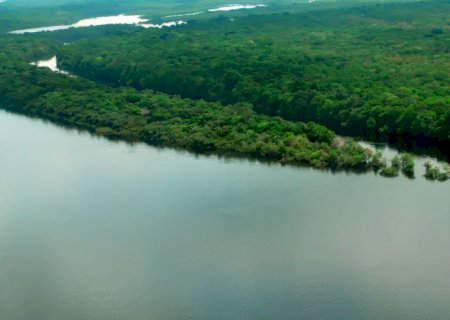 Apenas 7% dos rios da Mata Atlântica apresentam água de boa qualidade