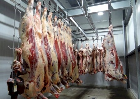 Caso de vaca louca ameaça exportação de carne bovina brasileira para a China