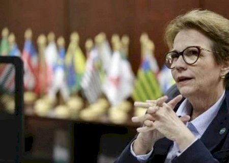 Tereza Cristina critica delegação do governo federal que visita a China