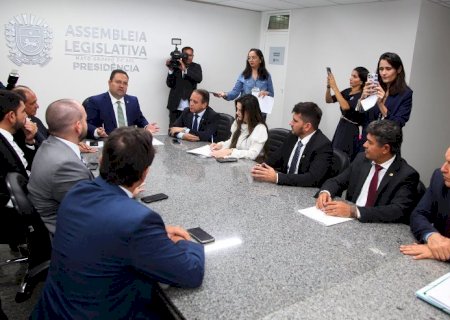 Deputados reivindicam indenizações para garantir paz no campo em MS