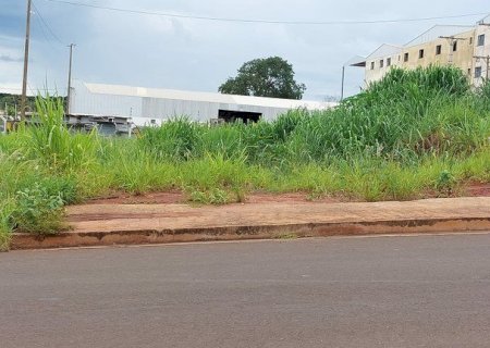 Após receberem reclamações sobre terrenos abandonados e mato alto, vereadores questionam atuação da Semusp