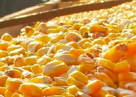 Exportação de milho tem maior volume para fevereiro desde 2016