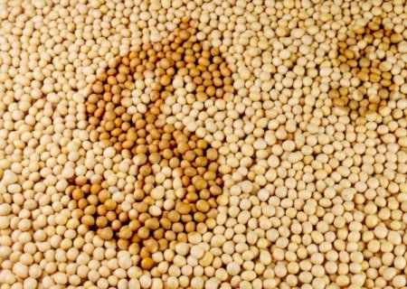 Soja: baixa de Chicago não impede aumento de preços no Brasil