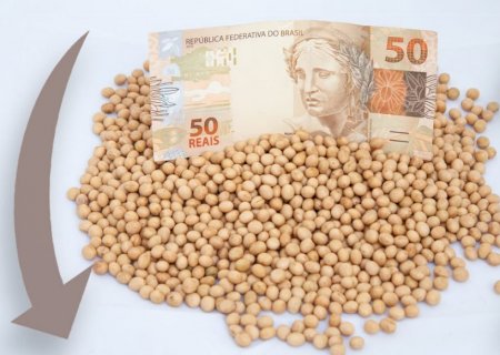 Saca de soja em Rondonópolis cai para R$ 138. Queda no Brasil segue baixa de Chicago