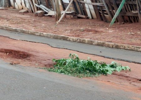 Crescimento de buracos na cidade preocupa e vereadores querem detalhes sobre recapeamento das ruas