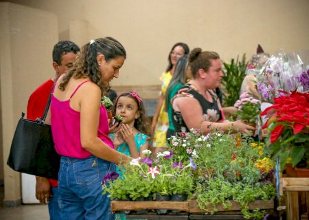 Arte, Flores e Sabores: feira especial da Secel será realizada neste fim de semana