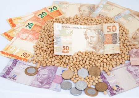 Soja: preços continuam em baixa no Brasil; produtores se concentram na colheita