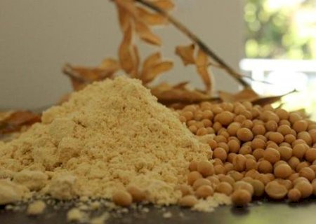 Brasil pode liderar exportações de farelo de soja na safra 2022/23