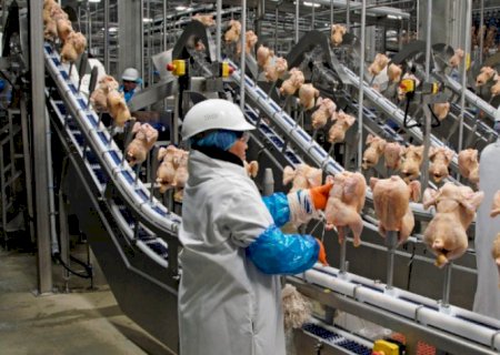 Brasil bate recorde em exportação de frango em março