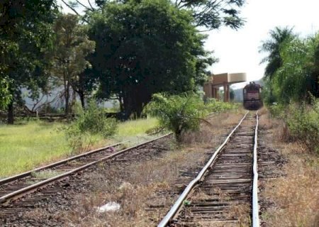 Riedel e secretários divulgarão MS e defenderão verbas para o Pantanal nos EUA