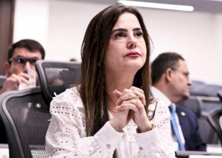 Paranaíba: Mara Caseiro solicita troca de ponte de madeira na MS-434