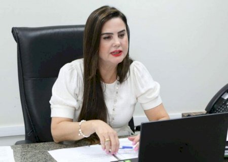 Mara Caseiro apresenta PL que cria observatório da violência contra a mulher em MS