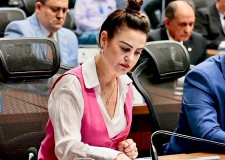 Mara Caseiro solicita recuperação asfáltica da MS-295 entre Eldorado e Iguatemi
