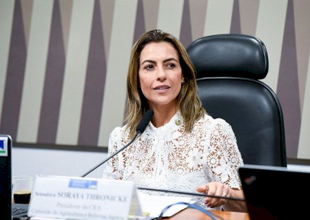 Senado analisa projeto para evitar invasão de competência legislativa