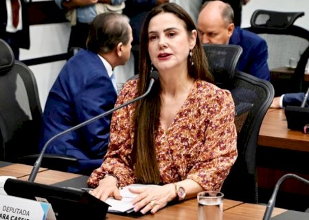 Mara Caseiro diz ser inadiável a garantia de mais segurança na BR-163
