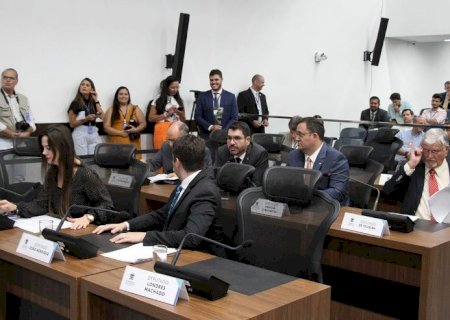 Assembleia oficializa presidências de mais duas comissões permanentes