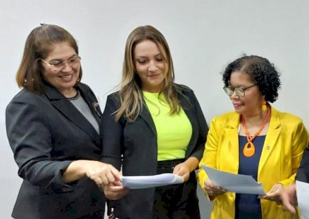 Distribuição de cestas básicas pauta requerimento na Câmara de Vereadores de Nova Andradina