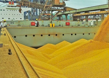 China desacelera compras de soja