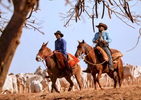 Queda do PIB do agro em 2024 é dada como certa