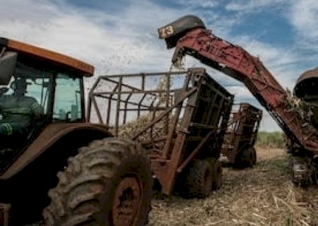 Biocombustíveis: Câmara inclui produtor em sistema de créditos de carbono