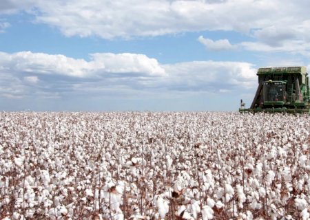 Safra recorde: agronegócio baiano é destaque nacional