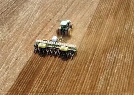 Soja: confira a projeção da Conab para a safra brasileira 24/25