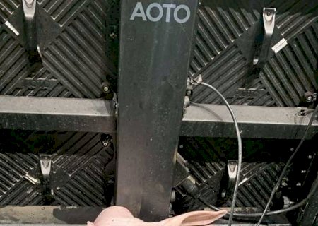 Torcedor do Corinthians que levou cabeça de porco em Dérbi na arena presta depoimento