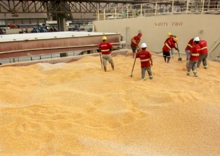 Compradores de milho voltam ao mercado