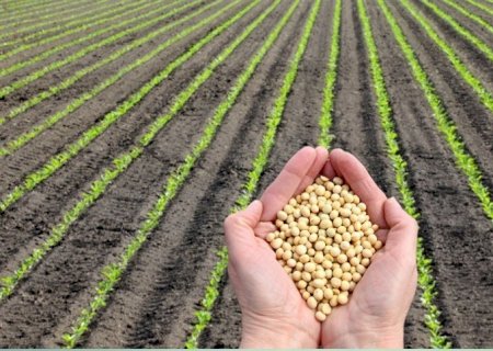 Vale a pena fixar o dólar agora?