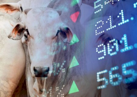 Fundos agrícolas já podem ser indicados à calculadora da Receita