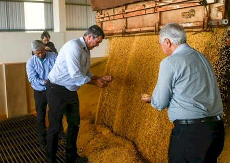 Capacidade de processar soja em MS crescerá 20% com novo empreendimento em Maracaju