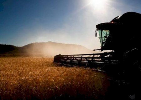 Alta dos juros é entrave para o setor de máquinas agrícolas em 2025