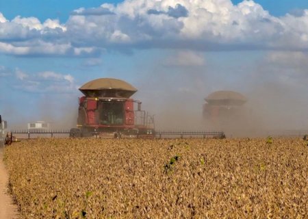 Valor Bruto da Produção agropecuária deve crescer 10% e atingir R$ 1,421 tri em 2025