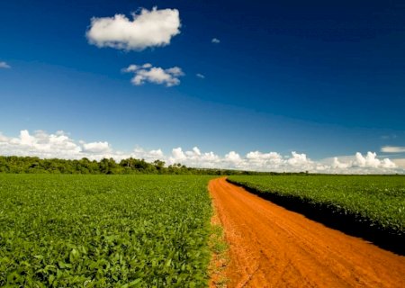 Moratória da soja: STF autoriza MT a limitar benefícios fiscais a partir de 2026