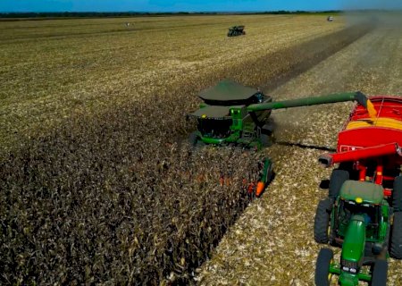 Milho: incertezas com clima dos EUA sustentam leve alta de Chicago