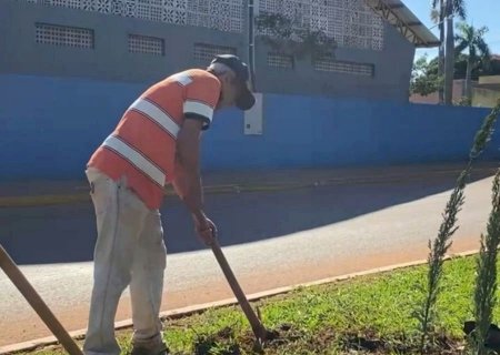 Paisagismo segue na Avenida Antônia Spinosa Mustafá com plantio de 96 pinheirinhos