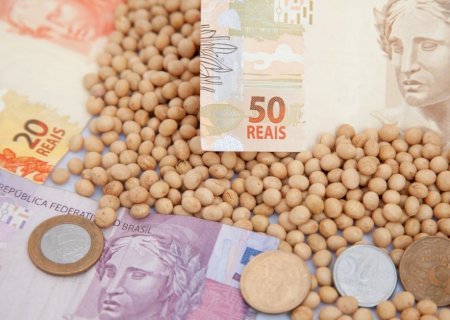 Confira os preços da soja no Brasil e em Chicago em dia de relatório do USDA