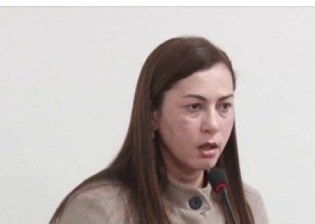 Vereadora Andrea Cruz solicita instalação de faixas elevadas em vias com grande fluxo de pedestres