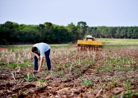A menor em quase 20 anos! Área de soja semeada terá pouco avanço na safra 25/26
