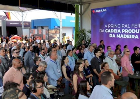 De estratégia a realidade: simplificação e visão de futuro ajudaram MS a consolidar Vale da Celulose