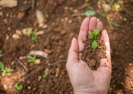 Agro se prepara para adição energética com fontes renováveis, diz presidente da Abag