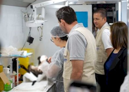 Caravana de Castração transforma Nova Andradina em referência na saúde animal