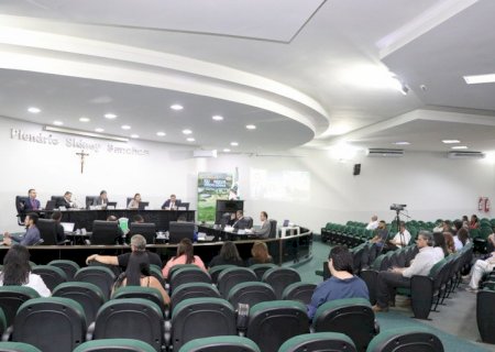 Câmara de Nova Andradina aprova Código Municipal de Direitos dos Animais