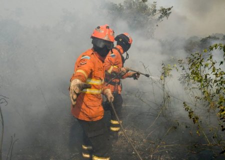 Bombeiros ampliam atuação na Operação Pantanal 2025 para prevenir incêndios florestais no MS