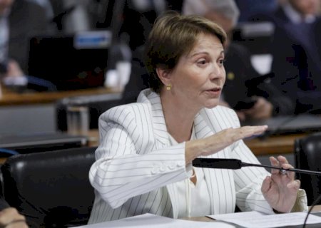 Tereza Cristina volta a elogiar negociadores brasileiros sobre tarifaço