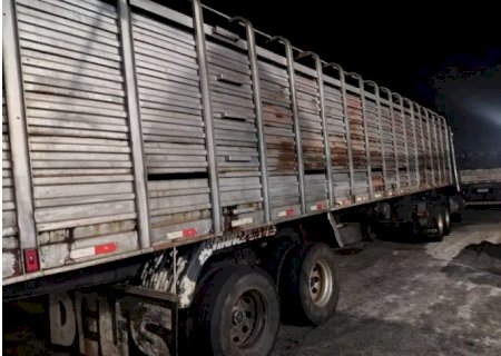 Operação fiscal apreende 50 cabeças de gado; valor supera R$ 160 mil