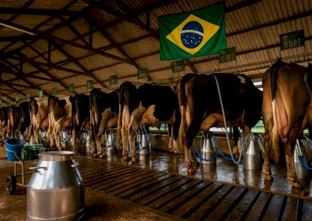 Setor leiteiro encerra 2025 defendendo bloqueio às importações de leite para conseguir renda
