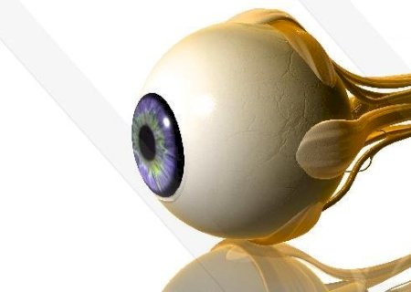 Implante que recupera a visão de pessoas praticamente cegas pode chegar ao mercado neste ano