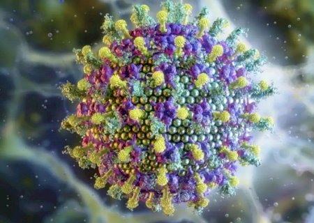 Ministério da Saúde diz que vírus Nipah não ameaça o Brasil