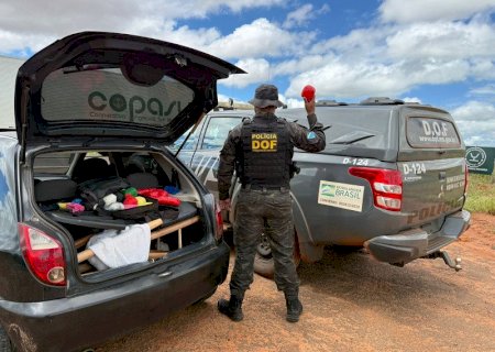DOF prende casal com haxixe que seria entregue no Paraná